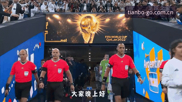 天博体育平台官网评测 2026世界杯安保新动态:仅三名英国警员赴美,天博体育官网深度解析背后原因